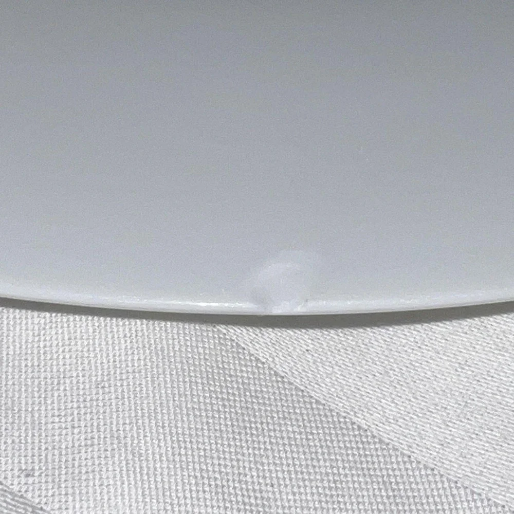 Pier 1 Luminous Porcelain White Coupe Dinner Plates 10 1/2